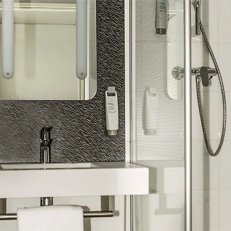 Ibis Geneve