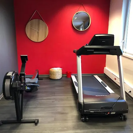 Ibis Geneve Hotel 3*